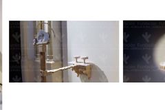 ELENA VICENTE HERRANZ 