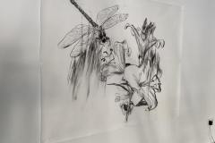 unnamed-12