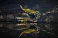 Angel-Luis_-Utrera_Baza_Armonia