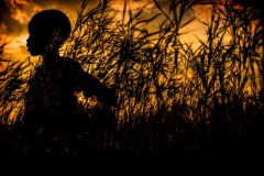 Antonio_Aragon_Renuncio_-Cosecha-ecologica