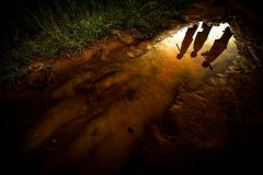 Antonio_Aragon_Renuncio_Siembra-Ecologica.-3er-premio-y-bronce-FAF.