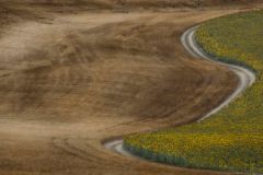 Carlos_Torres_Quero_Sinuoso