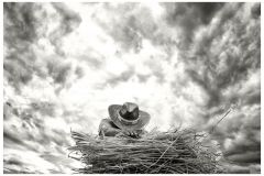 Hernando_Virgilio_Segadores-en-Atienza-II