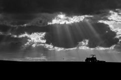 Jose-Elias_Rodriguez_Vazquez_Arando-con-aves