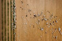 Jose-Ramon_Luna_De-la-Ossa_-El-circulo-Organico