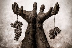 Juan-Miguel_Ortuno_Martinez_Hombre-y-tierra.El-fruto-de-lo-sostenible.-1er-premio-y-oro-FAF