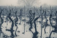 Roberto_De-la-Fuente_Ramos_Duro-invierno