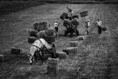 Santos_Moreno_Villar_Agriculture-of-yesteryear