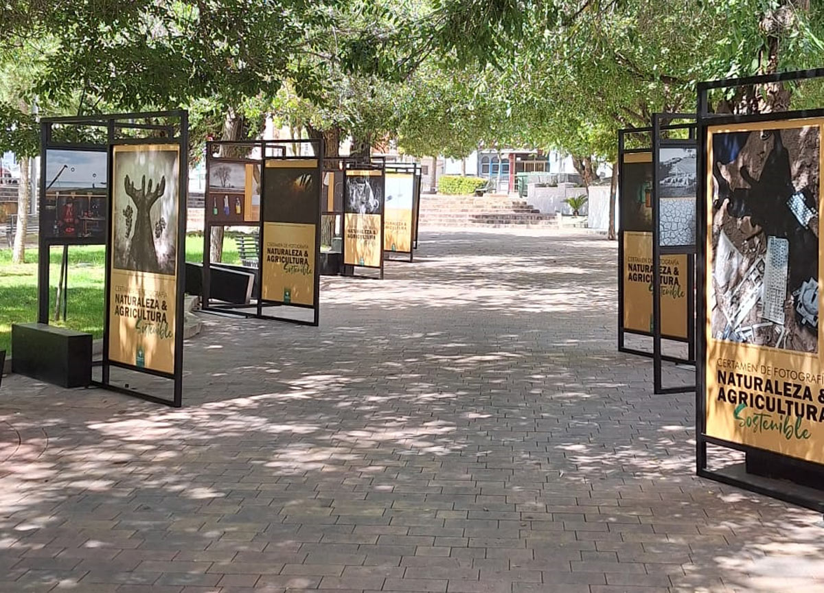 exposicion agricultura y naturaleza sostenible peal de becerro