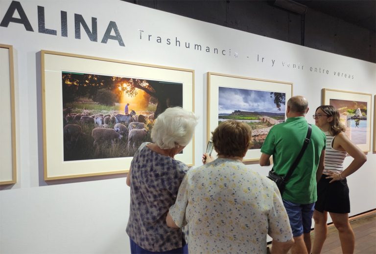 exposicion trashumancia katy gomez cabra del santo cristo