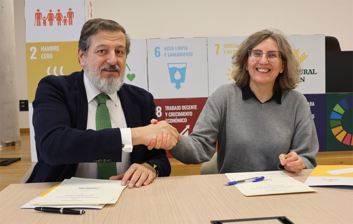 autismo jaen programa ocio y conciliacion