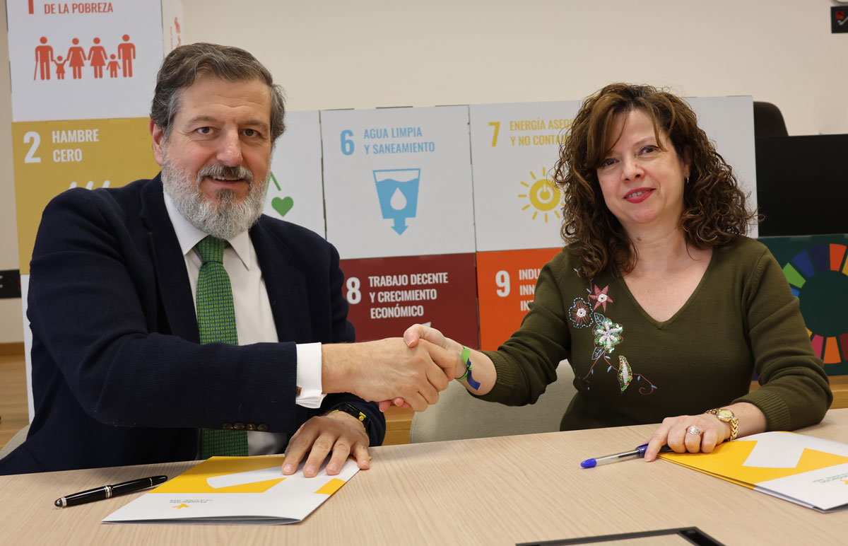 apaem salud mental psicoeducación