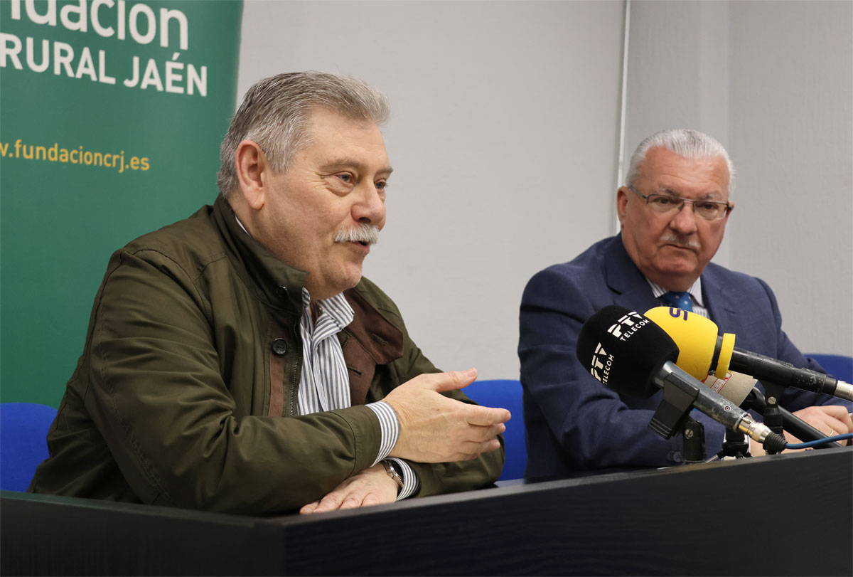 miserere linares castvlvm