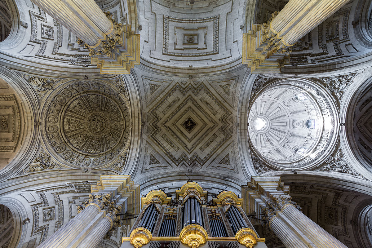 visitas guiadas los jueves en la catedral