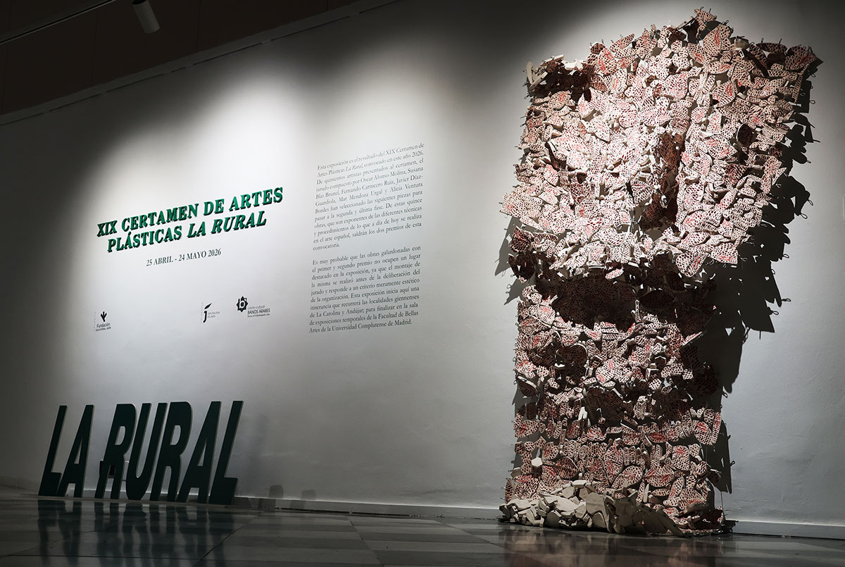 xix premio artes plasticas la rural